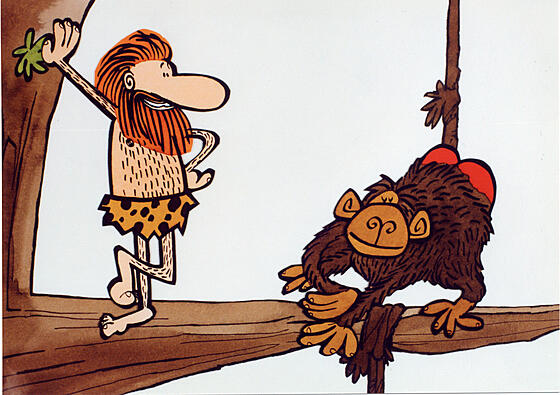 forhåndsvisning af film