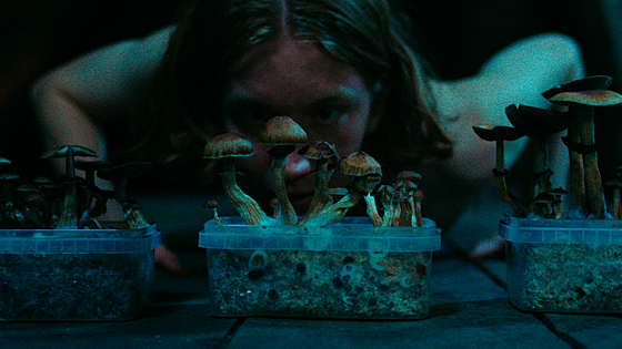 forhåndsvisning af film