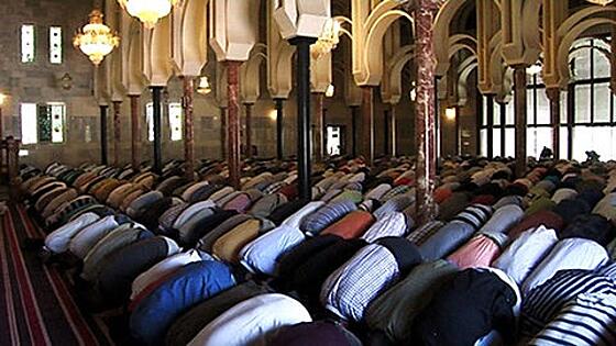 layout image (to proper size of the container)