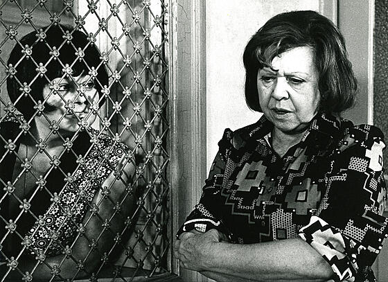 layout image (to proper size of the container)