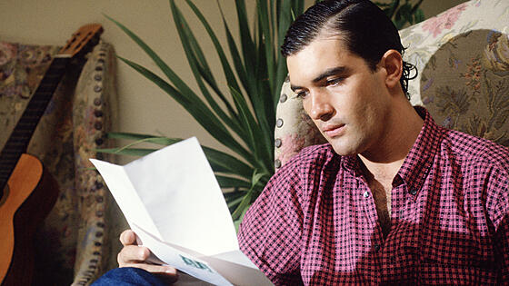 layout image (to proper size of the container)