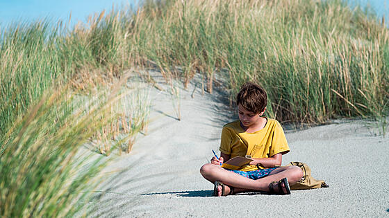 forhåndsvisning af film