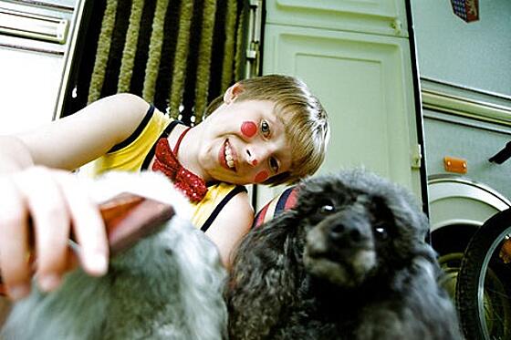 layout image (to proper size of the container)