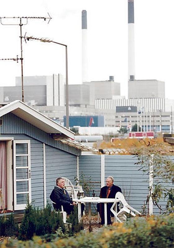 layout image (to proper size of the container)