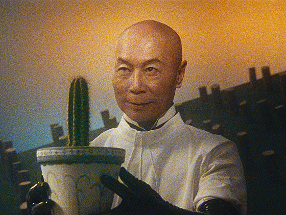 layout image (to proper size of the container)