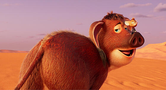 forhåndsvisning af film