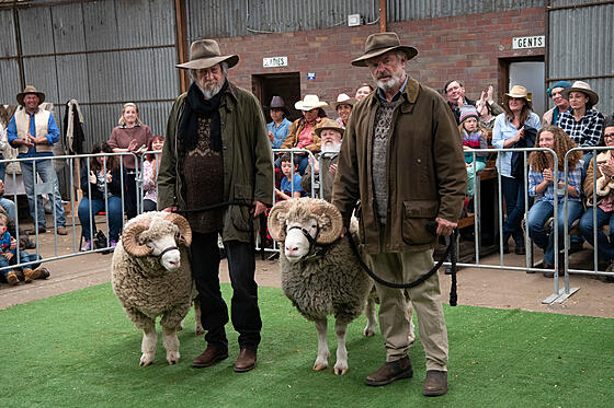 layout image (to proper size of the container)