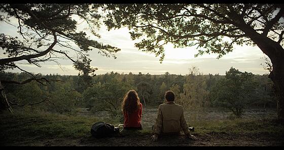 layout image (to proper size of the container)