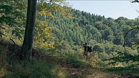 forhåndsvisning af film