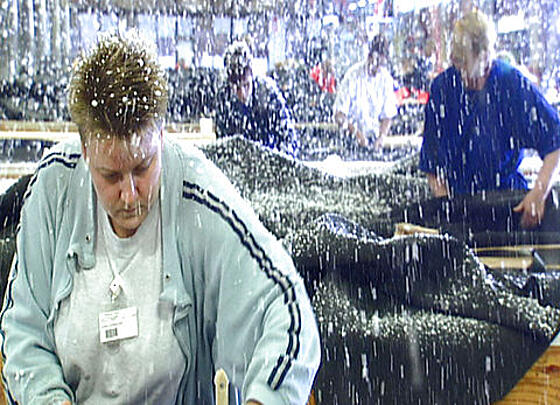 layout image (to proper size of the container)