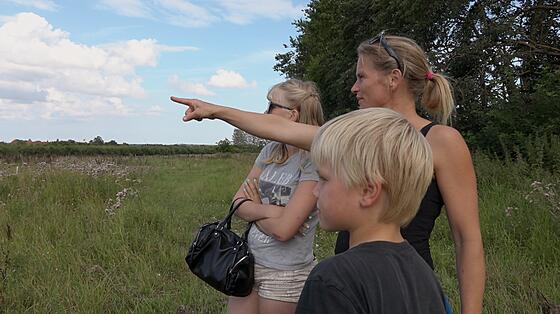 forhåndsvisning af film