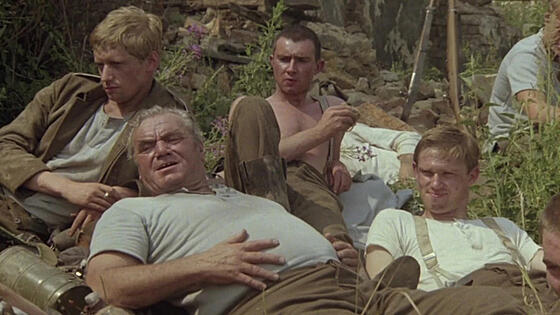 layout image (to proper size of the container)