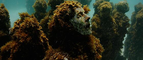 forhåndsvisning af film