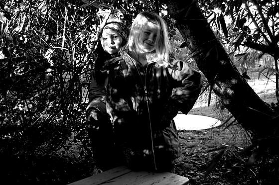 forhåndsvisning af film