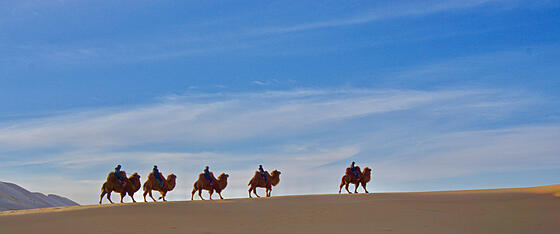 forhåndsvisning af film