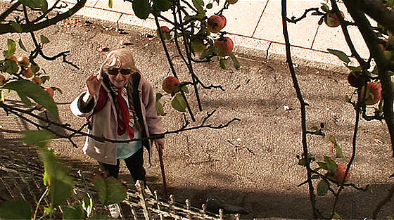 layout image (to proper size of the container)