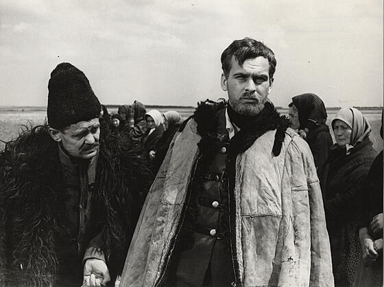 forhåndsvisning af film