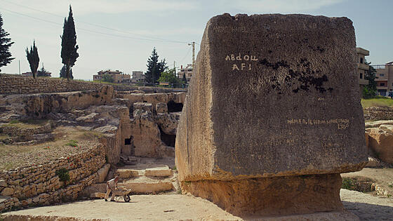 layout image (to proper size of the container)