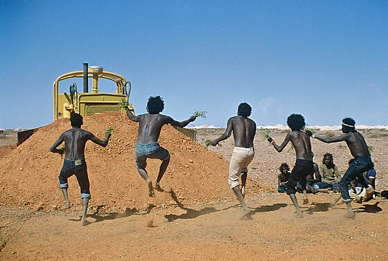 layout image (to proper size of the container)