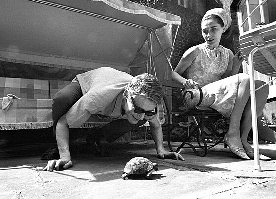 forhåndsvisning af film