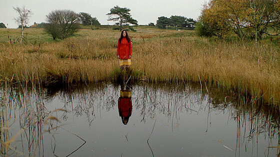 layout image (to proper size of the container)