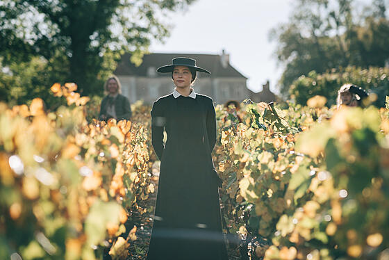 forhåndsvisning af film