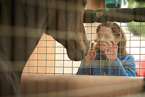 forhåndsvisning af film