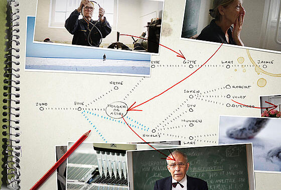 layout image (to proper size of the container)