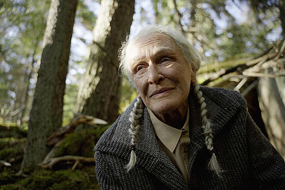 forhåndsvisning af film