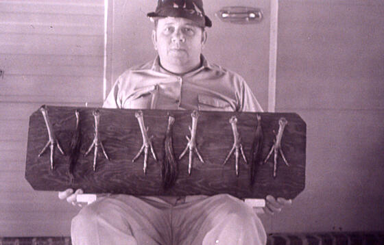 forhåndsvisning af film