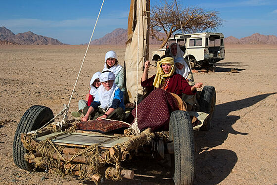 layout image (to proper size of the container)