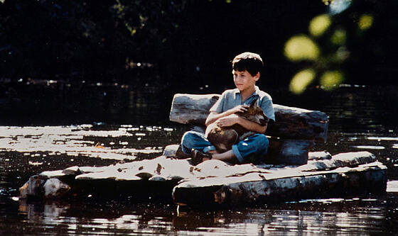 forhåndsvisning af film