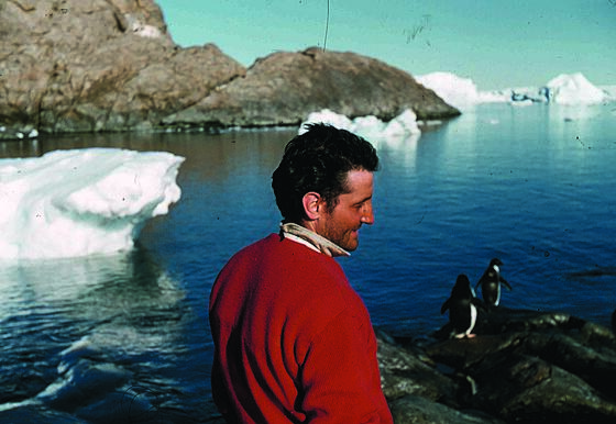 layout image (to proper size of the container)