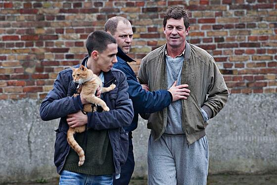 forhåndsvisning af film