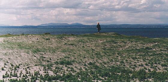 layout image (to proper size of the container)