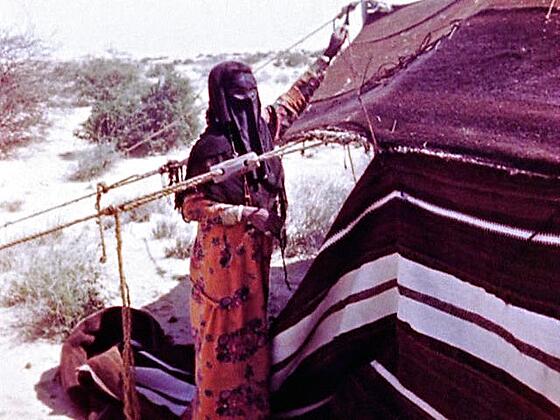 layout image (to proper size of the container)