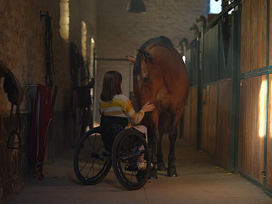 forhåndsvisning af film