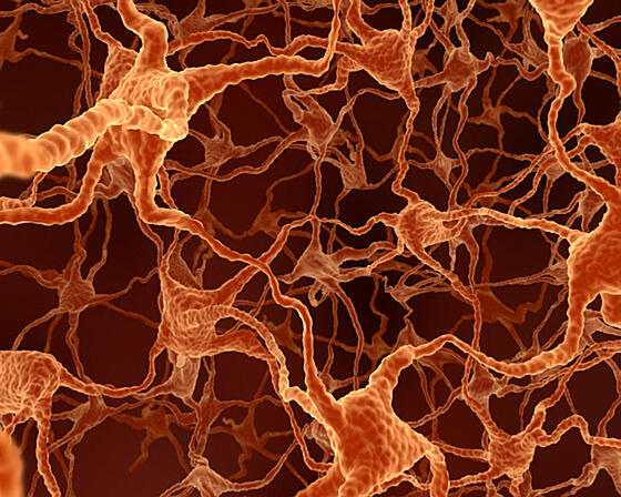 layout image (to proper size of the container)