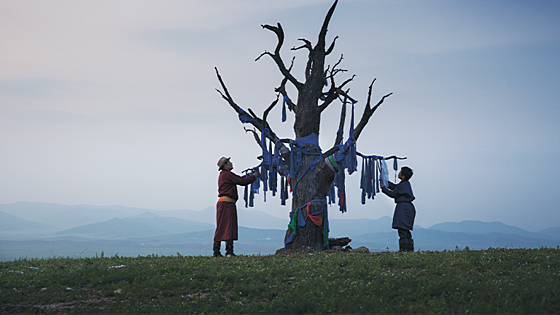 layout image (to proper size of the container)