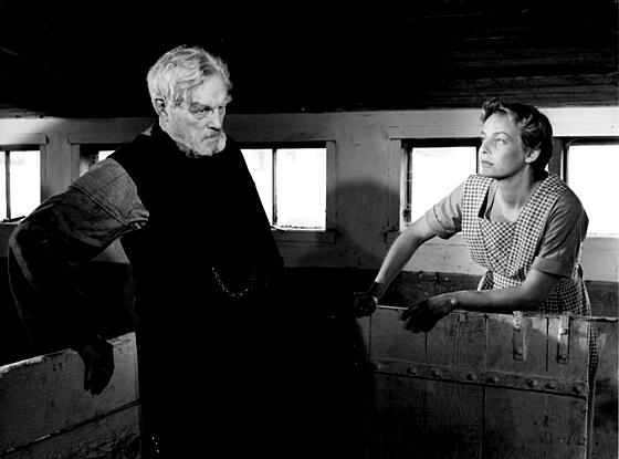 forhåndsvisning af film