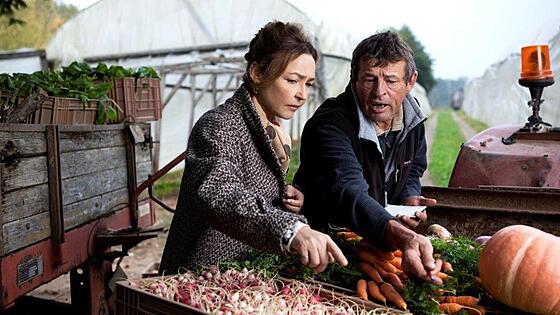 forhåndsvisning af film