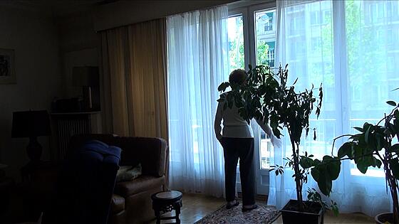 forhåndsvisning af film