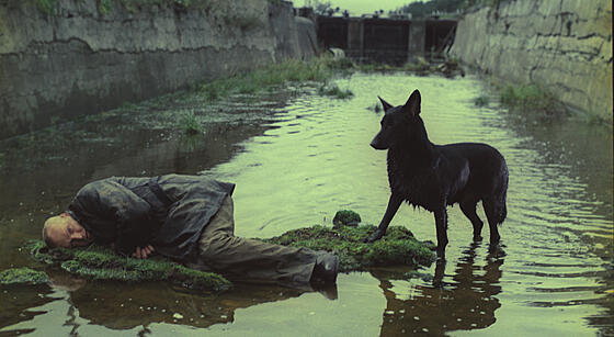 forhåndsvisning af film