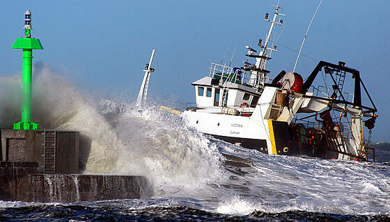 layout image (to proper size of the container)