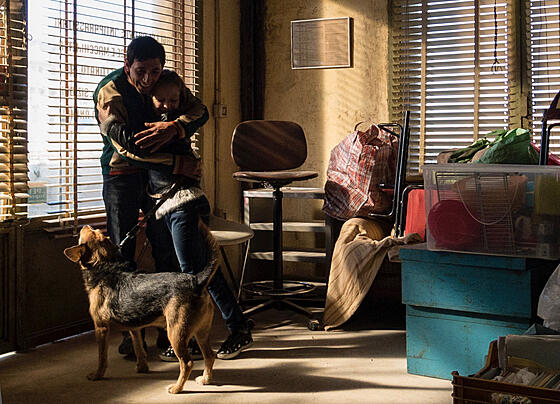 forhåndsvisning af film