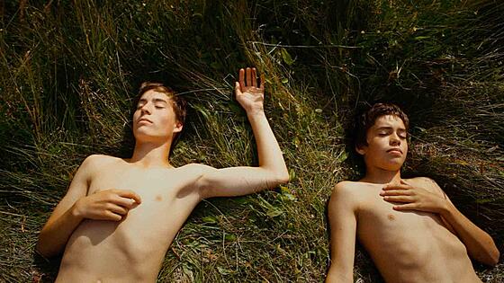 layout image (to proper size of the container)