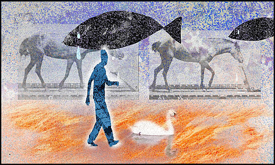 forhåndsvisning af film