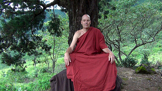 forhåndsvisning af film