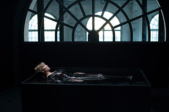 layout image (to proper size of the container)