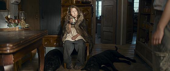 forhåndsvisning af film